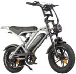 Fatbike V20 Pro Mini - Grijs