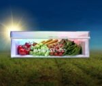 Beko B5RCNE3651HXB Koel-Vries Combinatie - 186 cm hoog - Grijs - Afbeelding 10