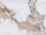 PVC Wandpaneel KL8266 Zandgoud Marmer Hoogglans 260x120x0,3cm